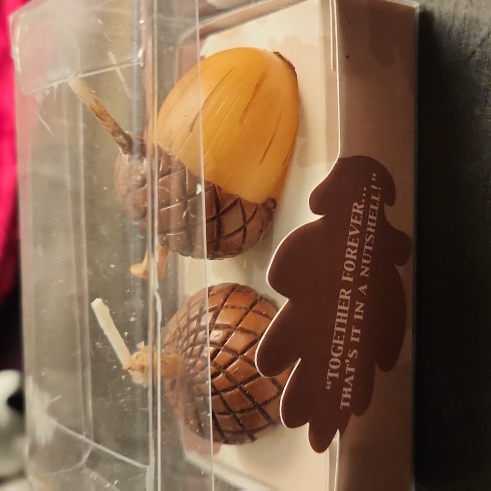 NIB weddingstar " Together forever...that's it in a nutshell" acorn candles.